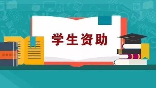 沒錢上大學(xué)？超全資助政策匯總，助你圓夢(mèng)無(wú)壓力